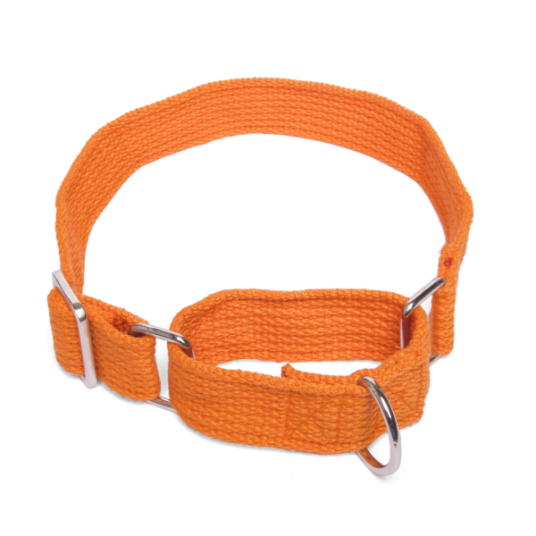 Let s Wag Martingale Fabric Collar for Dogs (Orange) Online now