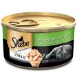 Sheba Complete Nutrition Tuna White Meat & Snapper In Gravy Cat Wet Food and Salmon Flavour Irresistible Cat Dry Food Combo For Discount