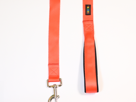 Skatrs Leash for Dogs (Red) Online