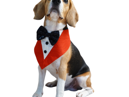 Floof & Co Silk Tuxedo for Dogs (Red) Hot on Sale