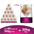 Maxi Adult Ocean Fish Adult Dry Cat Food Sale