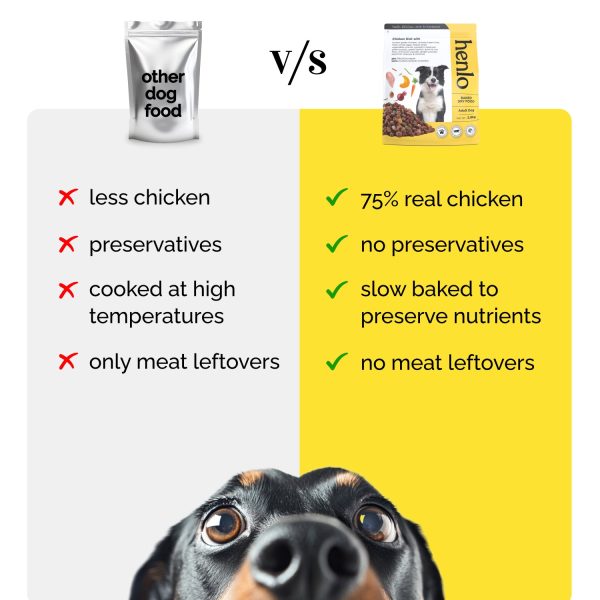 Henlo Chicken & Vegetable Baked Dry Food for Adult Dogs | 100% human grade ingredients Supply