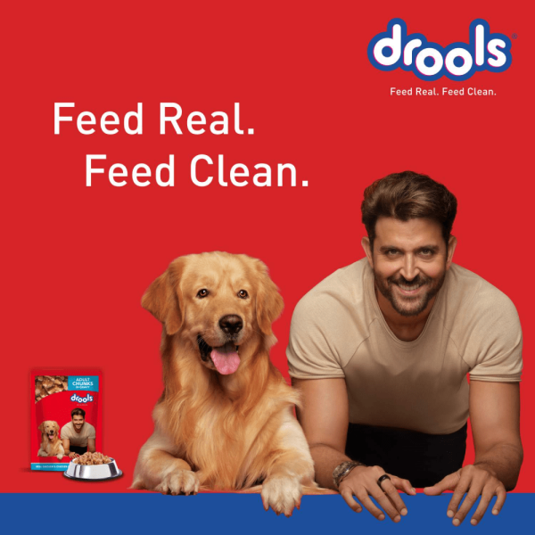 Drools Real Chicken & Chicken Liver Chunks in Gravy Adult Dog Wet Food For Sale