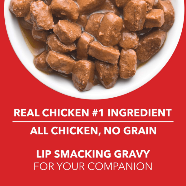 Drools Real Chicken & Chicken Liver Chunks in Gravy Adult Dog Wet Food For Sale