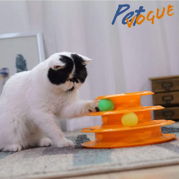 Pet Vogue Multi Level Puzzle Toy for Cats Discount