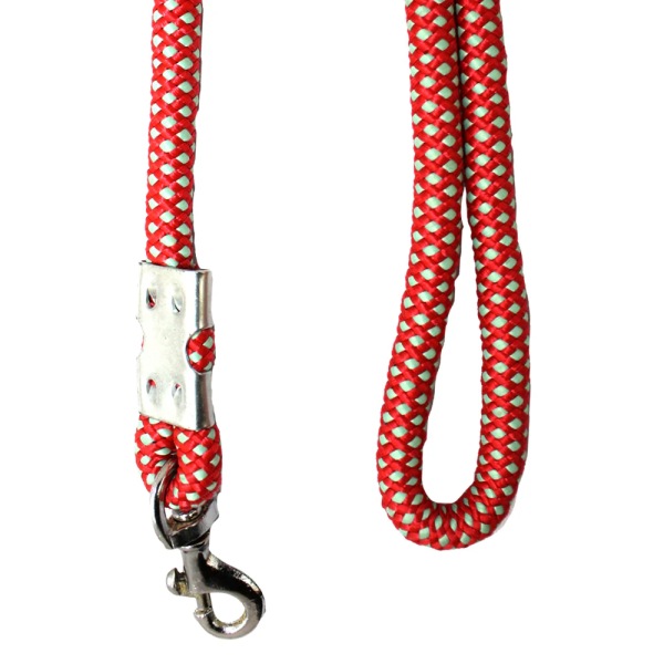 Pawpourri Classic Polyester Rope Leash for Dogs (Red) For Sale