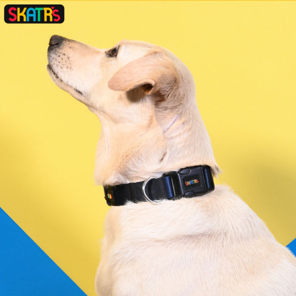 Skatrs Premium Adjustable Collar for Dogs (Dark Blue) Online Sale