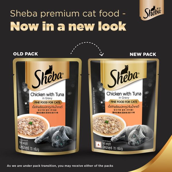 Sheba Chicken With Tuna In Gravy Premium Adult Cat Wet Food and Chicken All Life Stage Cat Dry Food Combo Fashion