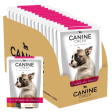 Canine Creek Real Chicken Gravy Puppy Wet Food Online Sale