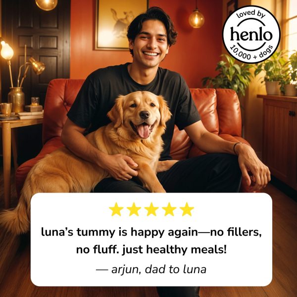 Henlo Chicken & Vegetable Baked Dry Food for Adult Dogs | 100% human grade ingredients Supply