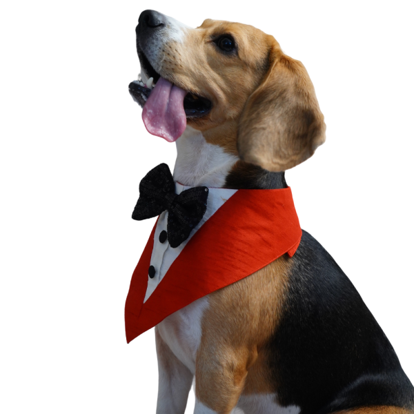 Floof & Co Silk Tuxedo for Dogs (Red) Hot on Sale