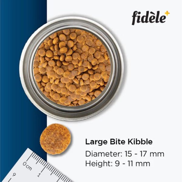 Fidele Plus Adult Large Dog Dry Food Cheap