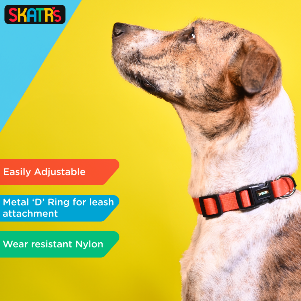 Skatrs Premium Adjustable Collar for Dogs (Red) Sale