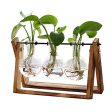 XXXFLOWER Plant Terrarium with Wooden Stand, Air Planter Bulb Glass Vase Metal Swivel Holder Retro Tabletop for Hydroponics Home Garden Office Decoration - 3 Bulb Vase Online Sale