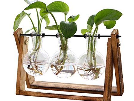 XXXFLOWER Plant Terrarium with Wooden Stand, Air Planter Bulb Glass Vase Metal Swivel Holder Retro Tabletop for Hydroponics Home Garden Office Decoration - 3 Bulb Vase Online Sale