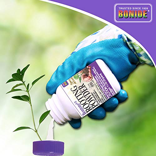 Bonide Bontone II Rooting Powder, 1.25 oz Ready-to-Use Dust for Houseplants and Transplants Speeds Root Development Discount