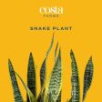 Costa Farms Live Snake Plant, Easy to Grow Houseplant in Indoor Decorative Plant Pot, Grower s Choice House Plant in Potting Soil, Housewarming Gift, Room Decor, 1-2 Feet Tall Online Sale