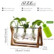 XXXFLOWER Plant Terrarium with Wooden Stand, Air Planter Bulb Glass Vase Metal Swivel Holder Retro Tabletop for Hydroponics Home Garden Office Decoration - 3 Bulb Vase Online Sale