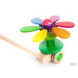 Flower Rainbow Animated Wooden Push Toy Fashion